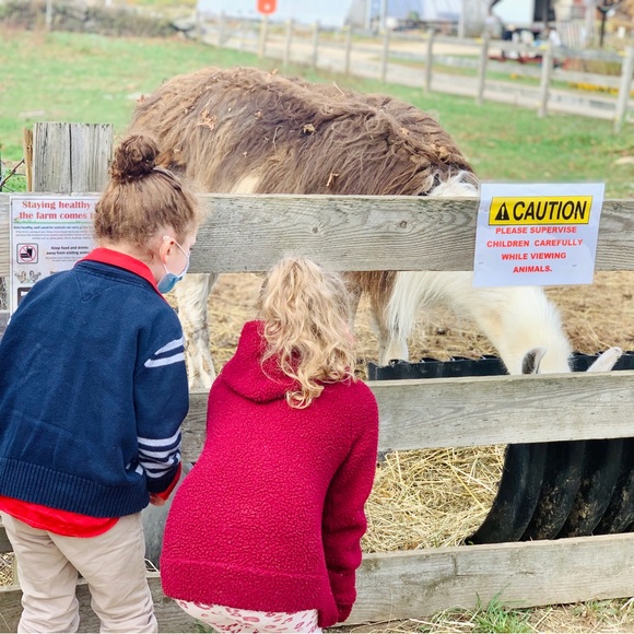 Meet your Posher, Marissa and David - Picture 6 of 10